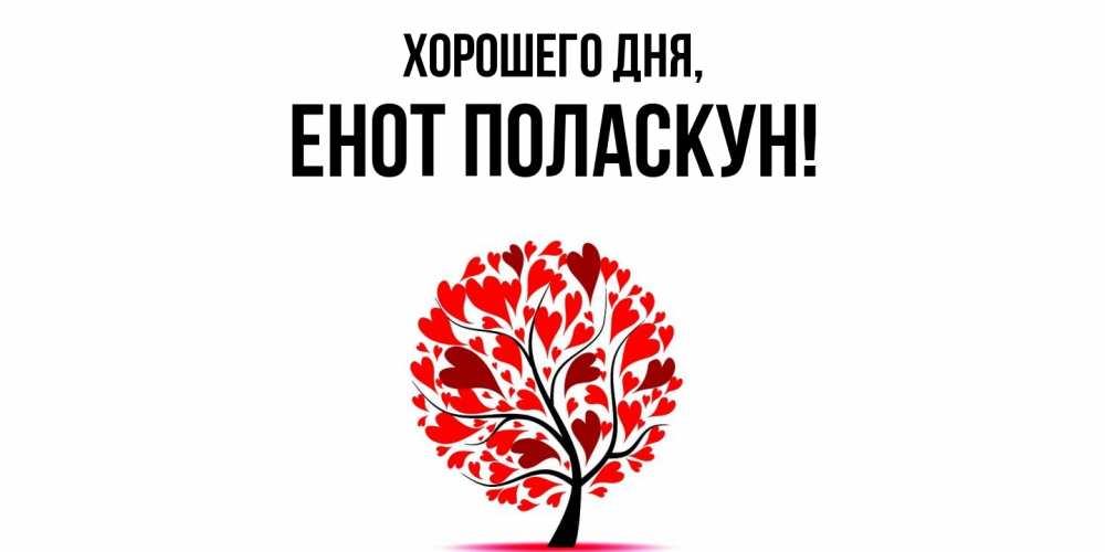 Открытка  для любимых и родных. енот, Хорошего дня  