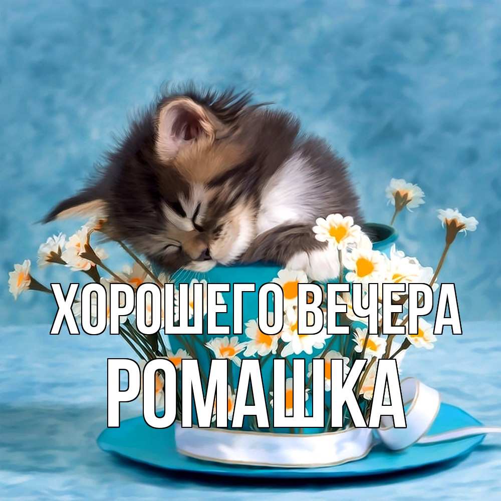 Картинка Хорошего вечера, ромашка