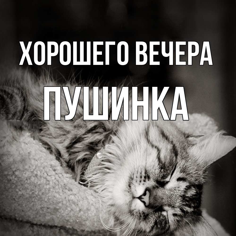 Открытка  для любимых и родных. пушинка, Хорошего вечера  