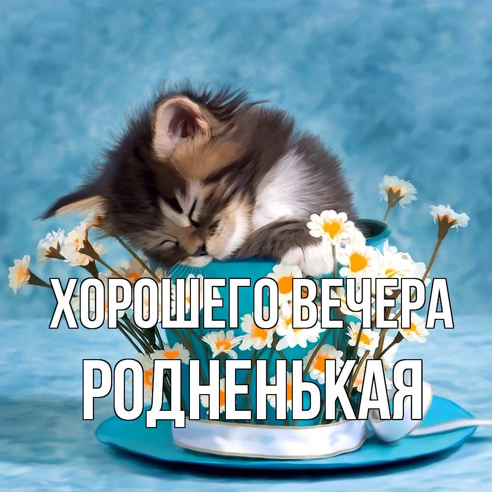 Картинка Хорошего вечера, родненькая