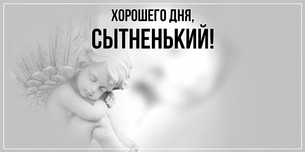 Открытка  для любимых и родных. сытненький, Хорошего дня  