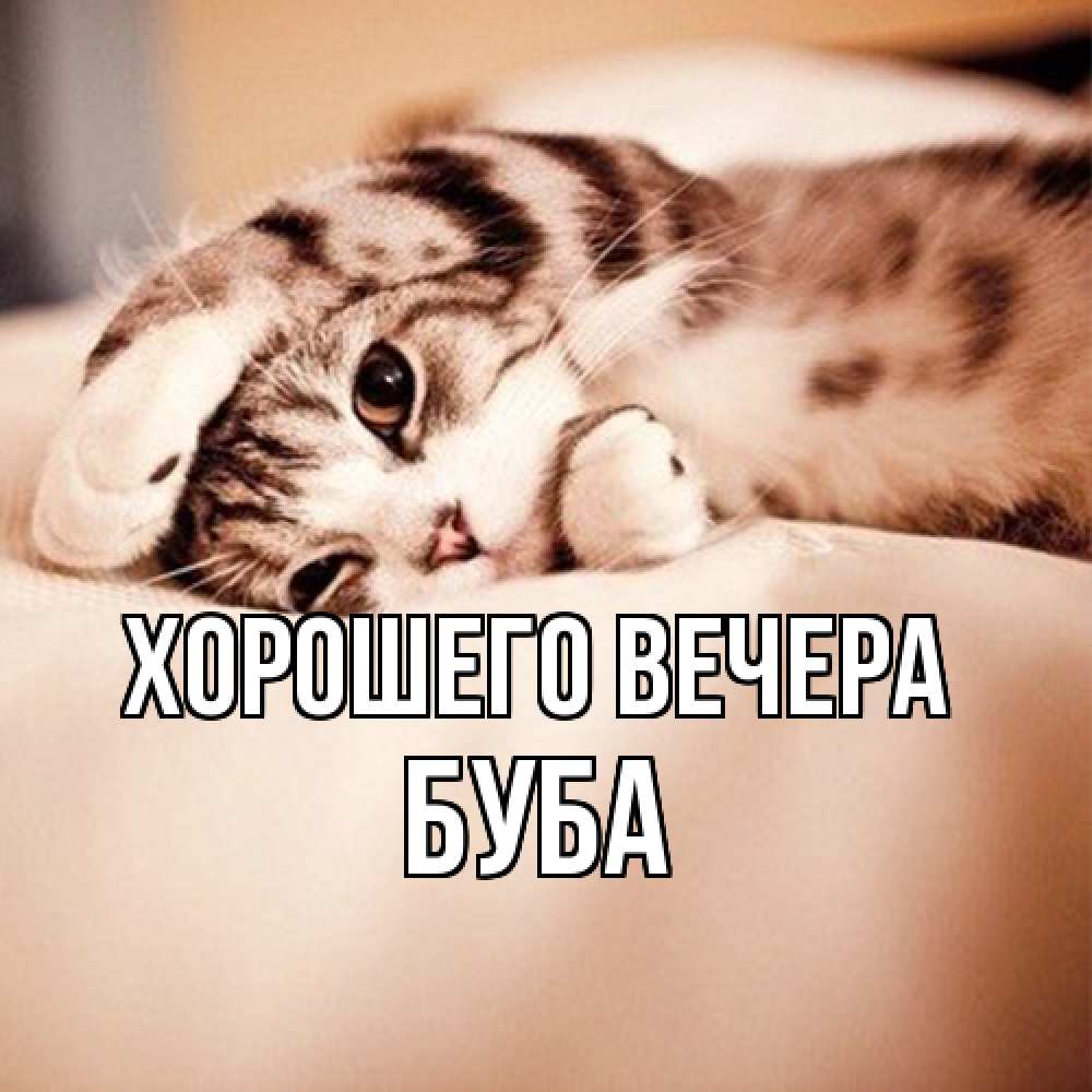 Открытка  для любимых и родных. буба, Хорошего вечера  