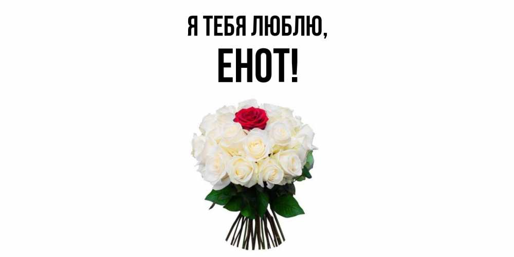 Открытка  для любимых и родных. енот, Я тебя люблю  