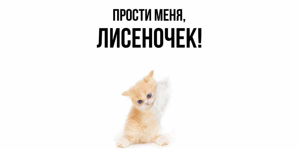 Открытка  для любимых и родных. лисеночек, Прости меня  