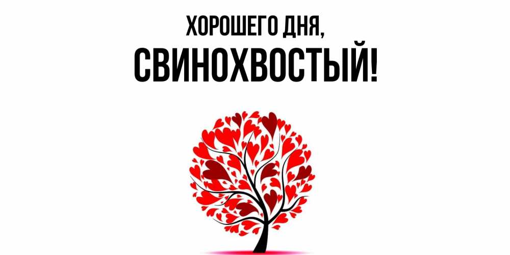 Открытка  для любимых и родных. свинохвостый, Хорошего дня  