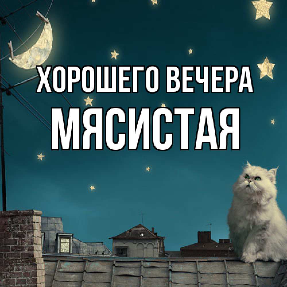 Картинка Хорошего вечера, мясистая