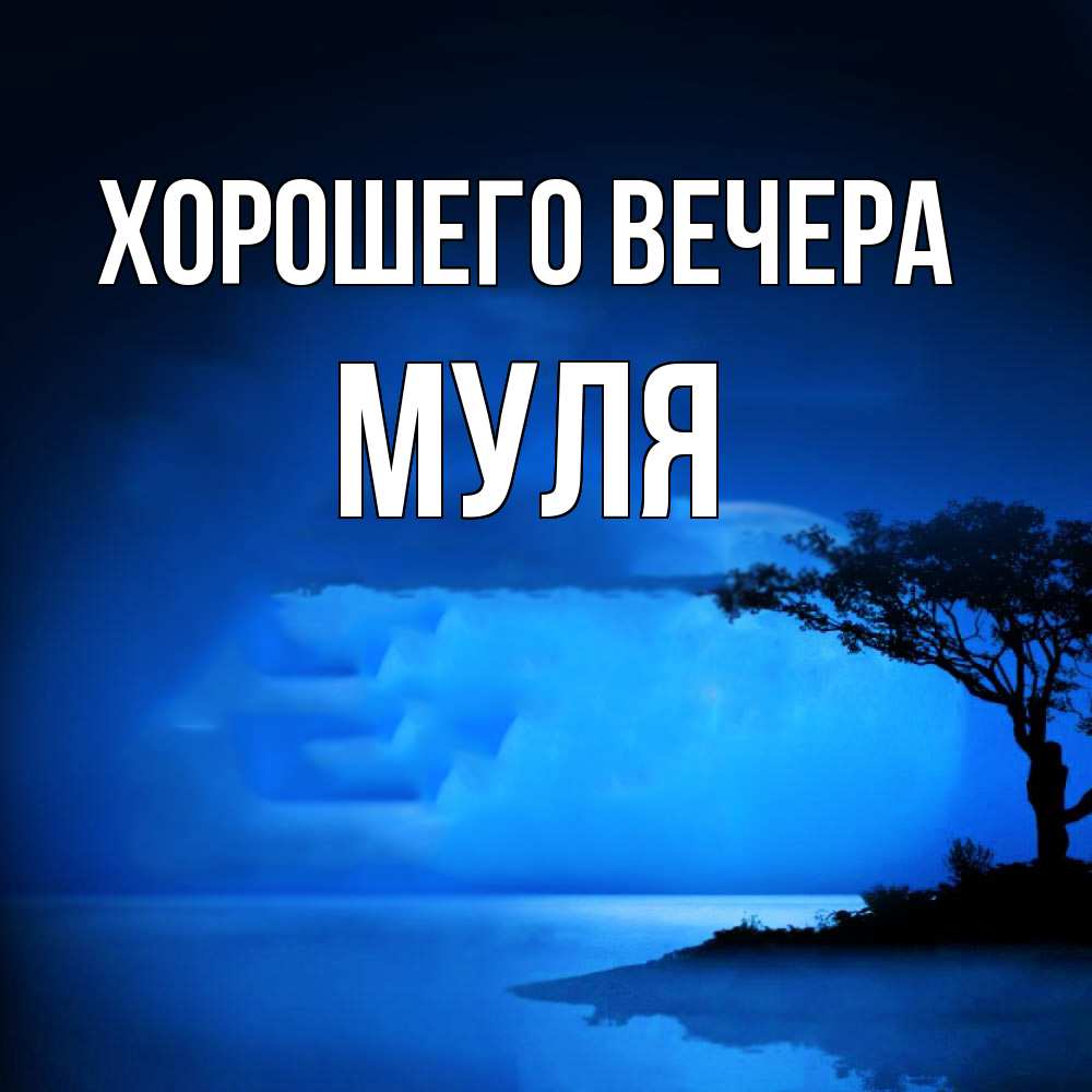 Картинка Хорошего вечера, муля