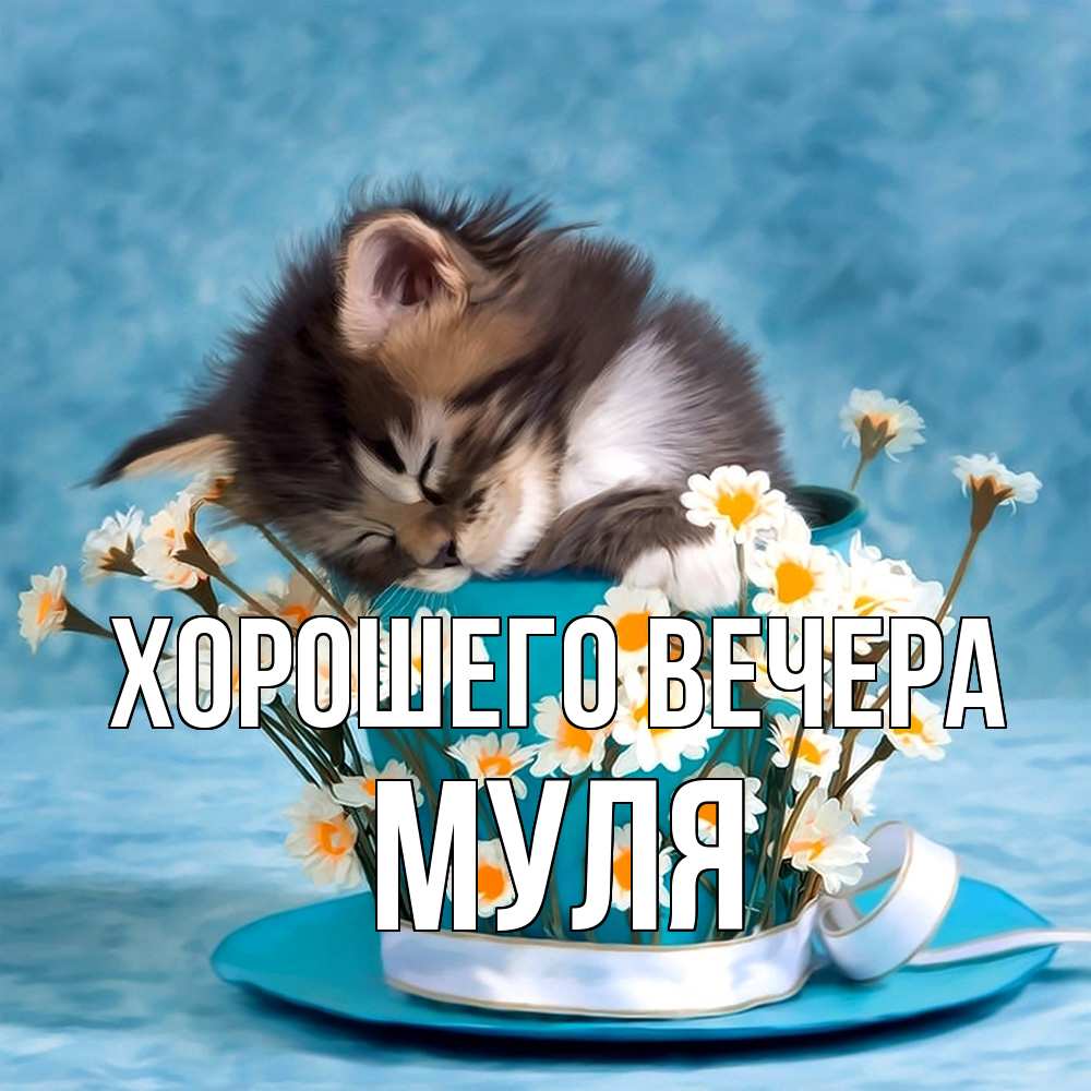 Картинка Хорошего вечера, муля