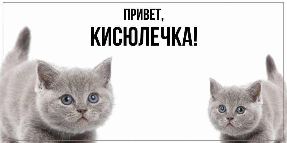 Картинка Привет, кисюлечка