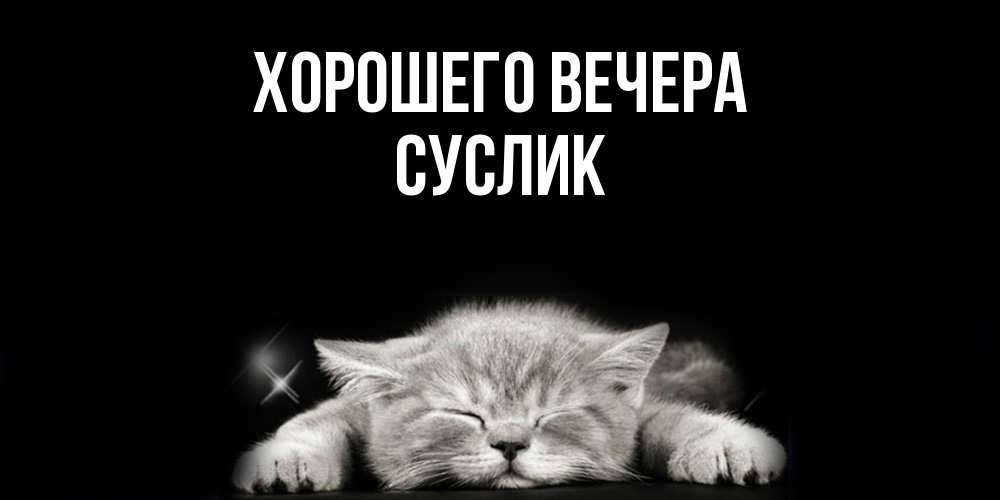 Открытка  для любимых и родных. суслик, Хорошего вечера  