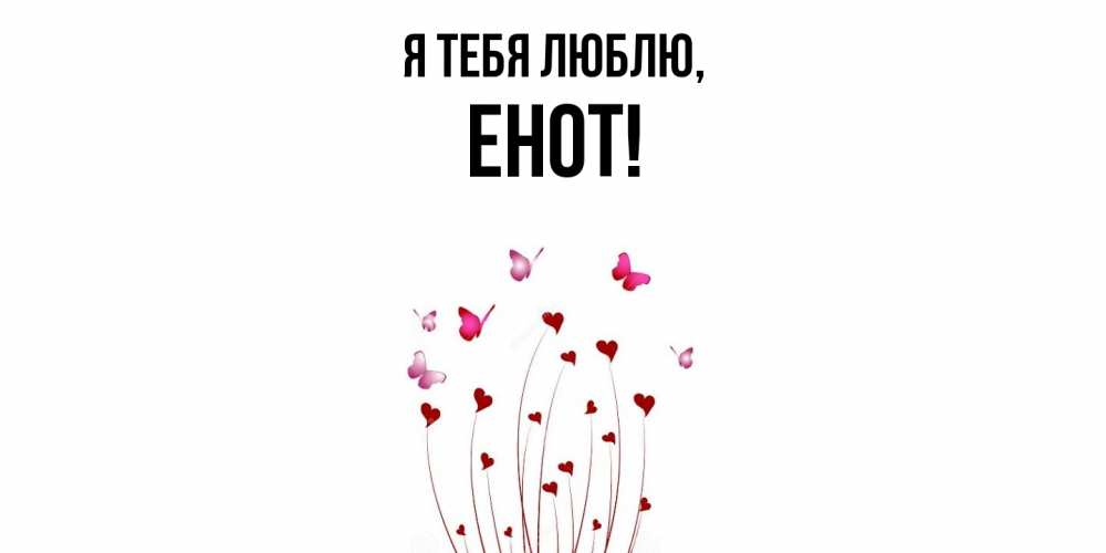 Открытка  для любимых и родных. енот, Я тебя люблю  