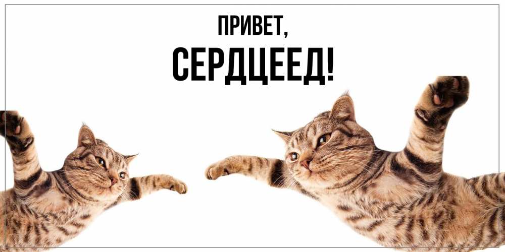 Открытка  для любимых и родных. Сердцеед, Привет  