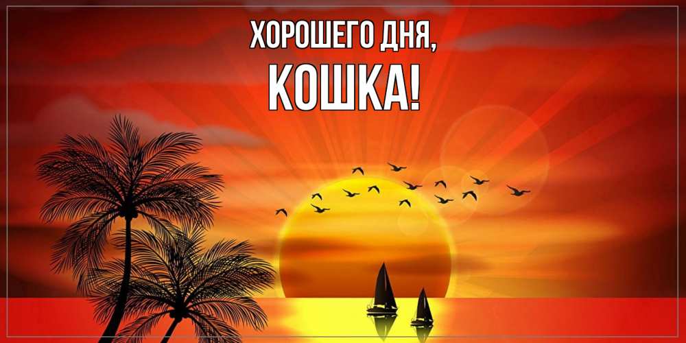 Открытка  для любимых и родных. кошка, Хорошего дня  