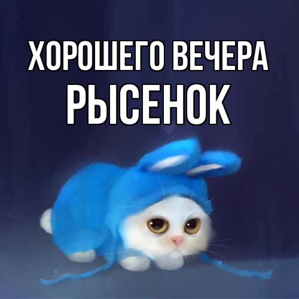 Открытка с именем, рысенок, Хорошего вечера