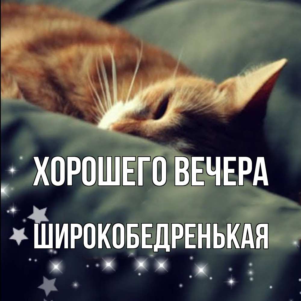 Открытка  для любимых и родных. широкобедренькая, Хорошего вечера  