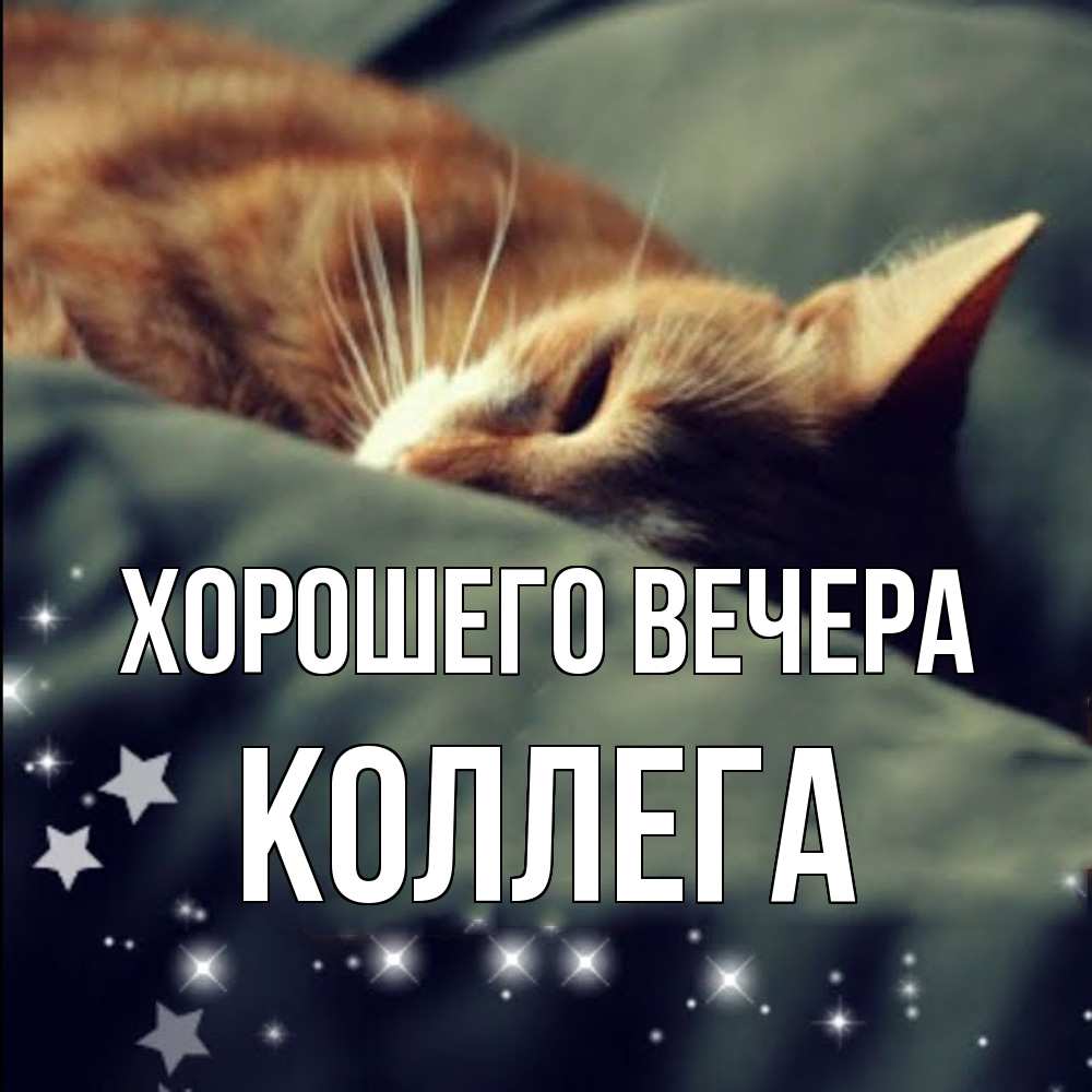Открытка  для любимых и родных. Коллега, Хорошего вечера  