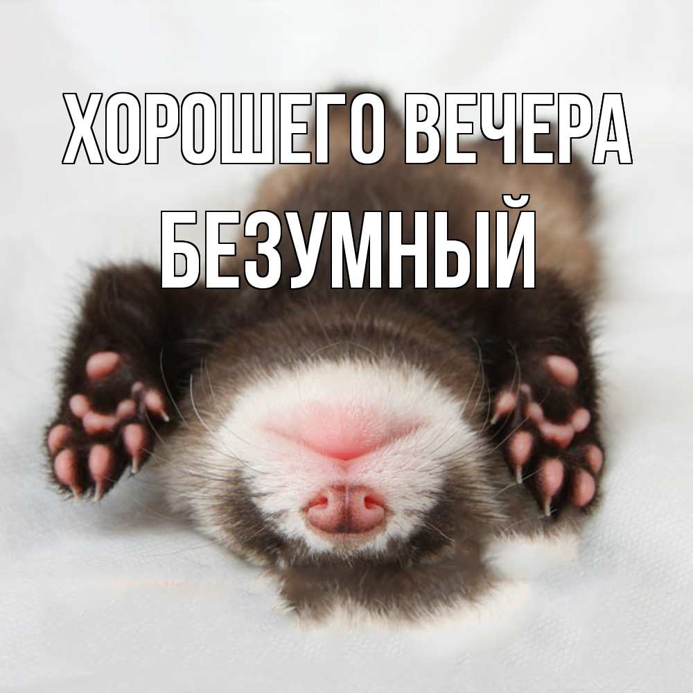 Открытка  для любимых и родных. безумный, Хорошего вечера  