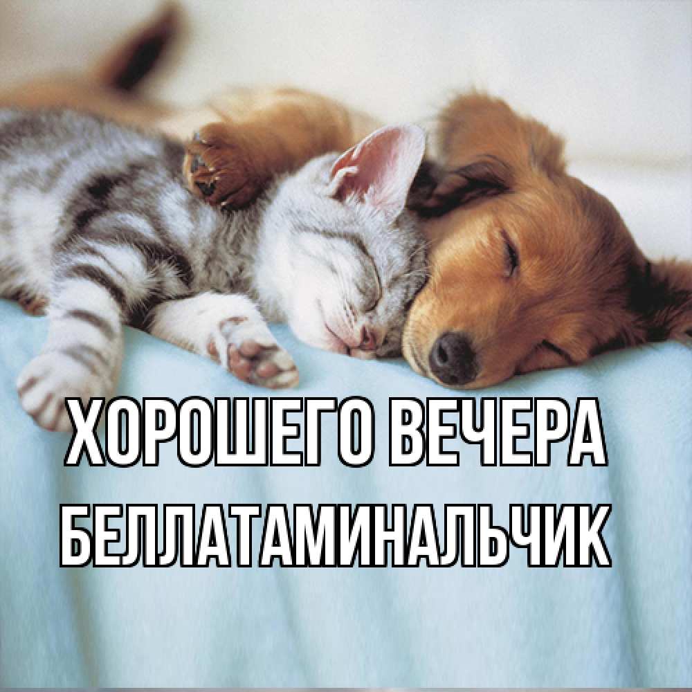 Открытка  для любимых и родных. беллатаминальчик, Хорошего вечера  