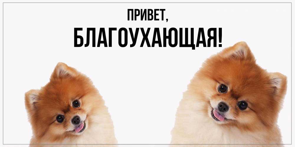 Открытка с именем, благоухающая, Привет