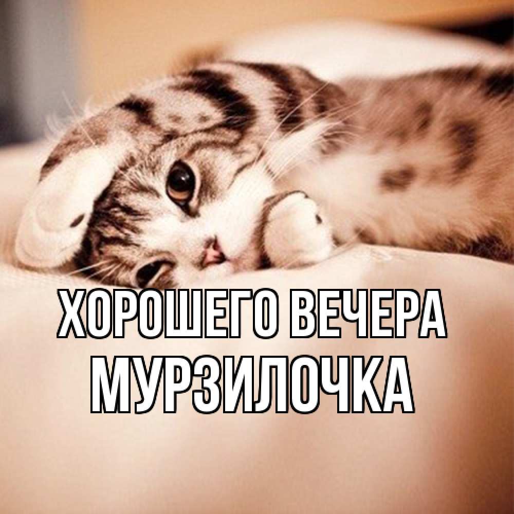 Открытка  для любимых и родных. мурзилочка, Хорошего вечера  
