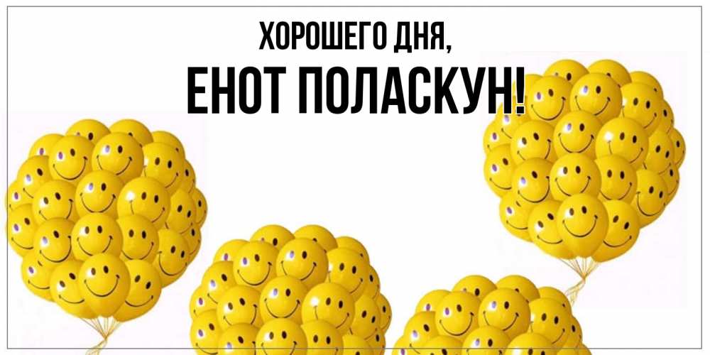 Открытка  для любимых и родных. енот, Хорошего дня  