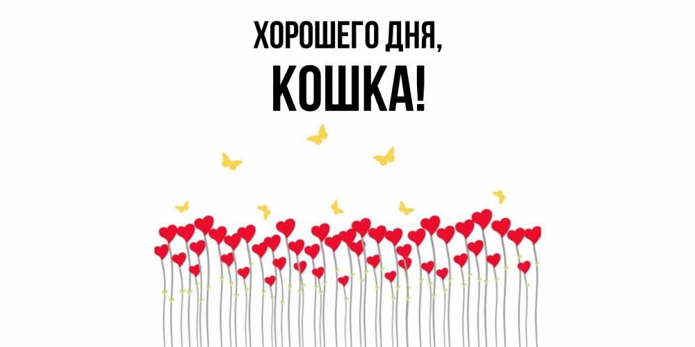 Открытка  для любимых и родных. кошка, Хорошего дня  