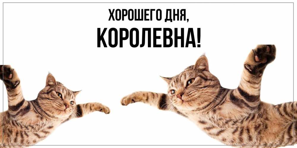 Открытка  для любимых и родных. королевна, Хорошего дня  