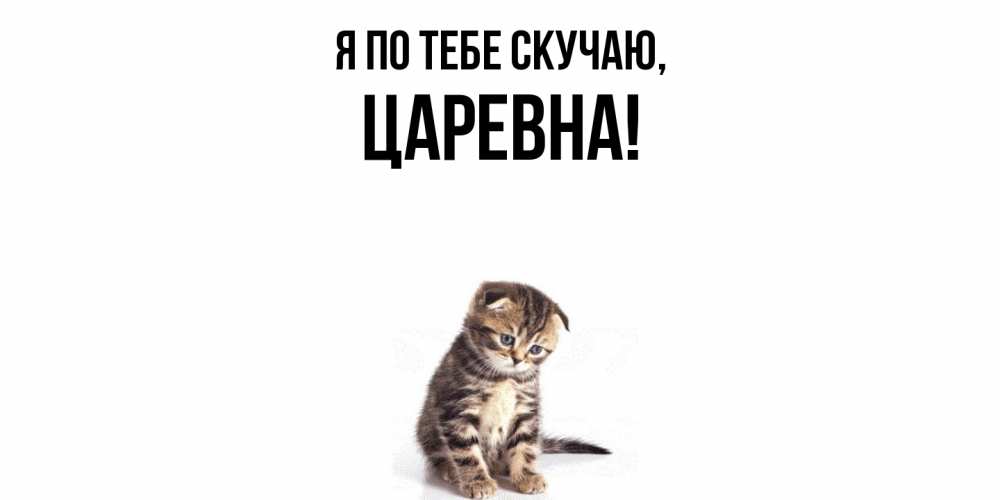 Открытка  для любимых и родных. царевна, Я по тебе скучаю  