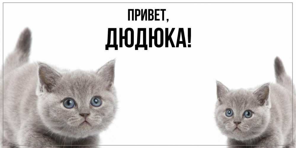 Картинка Привет, дюдюка