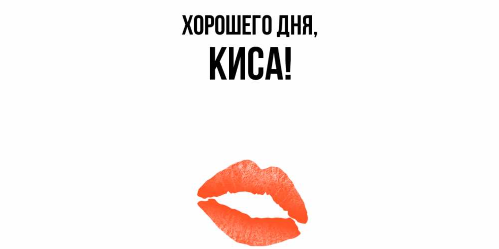 Открытка  для любимых и родных. киса, Хорошего дня  
