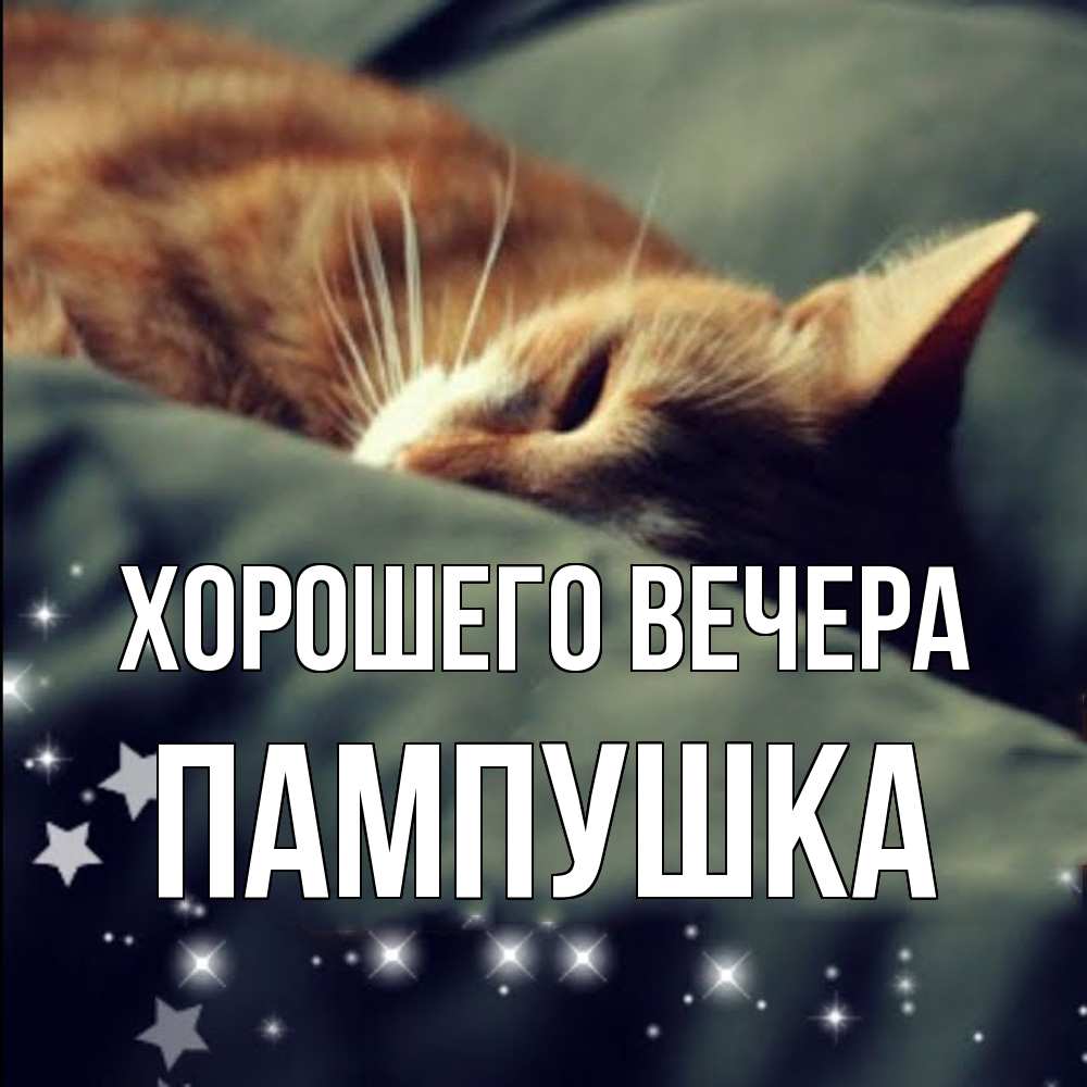 Открытка  для любимых и родных. пампушка, Хорошего вечера  