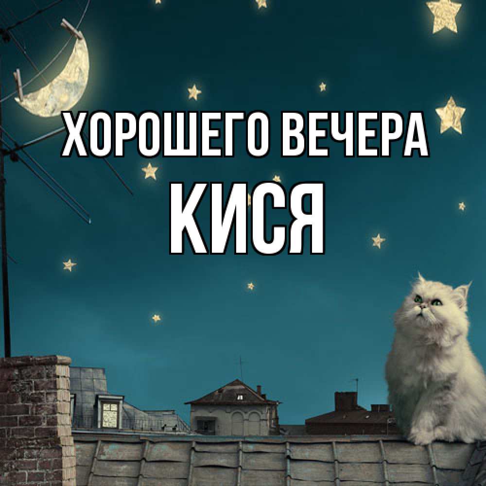 Картинка Хорошего вечера, кися