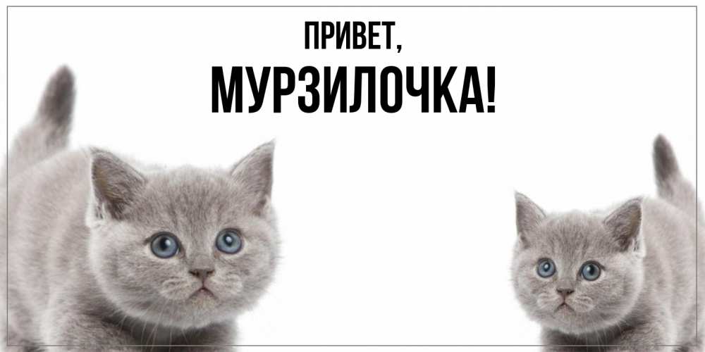 Открытка  для любимых и родных. мурзилочка, Привет  