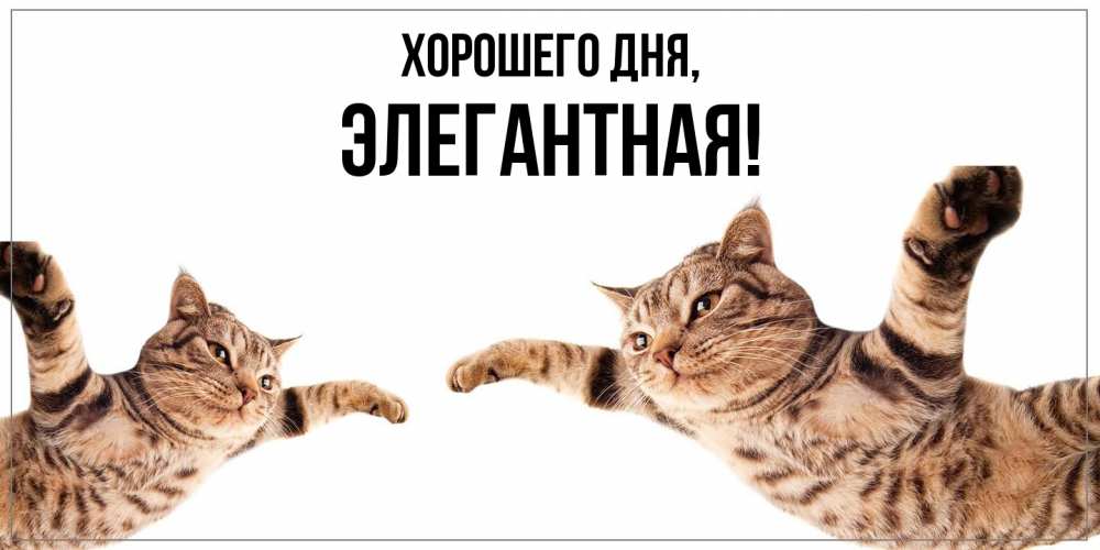 Открытка  для любимых и родных. элегантная, Хорошего дня  