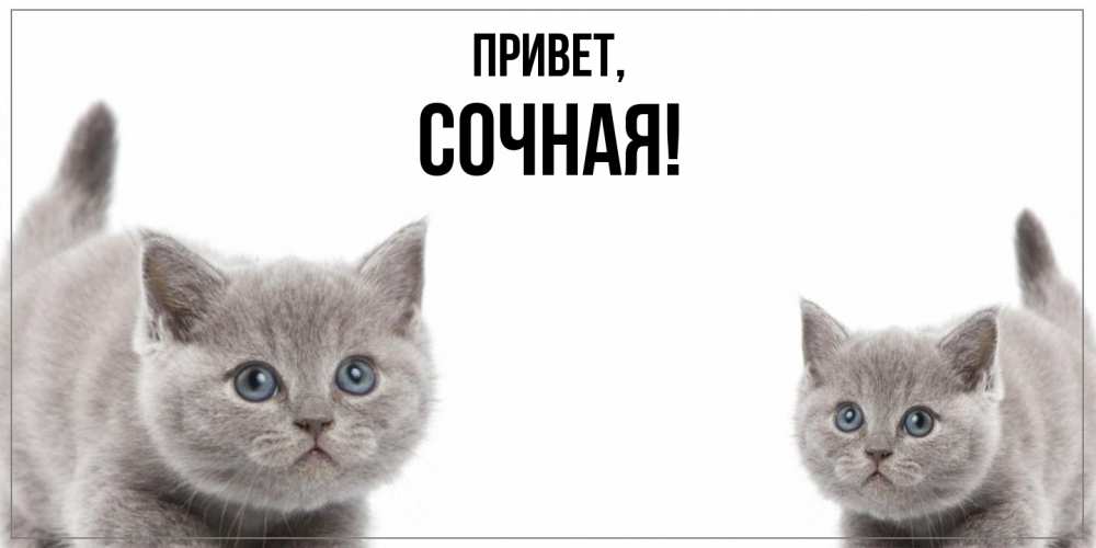 Открытка с именем, сочная, Привет