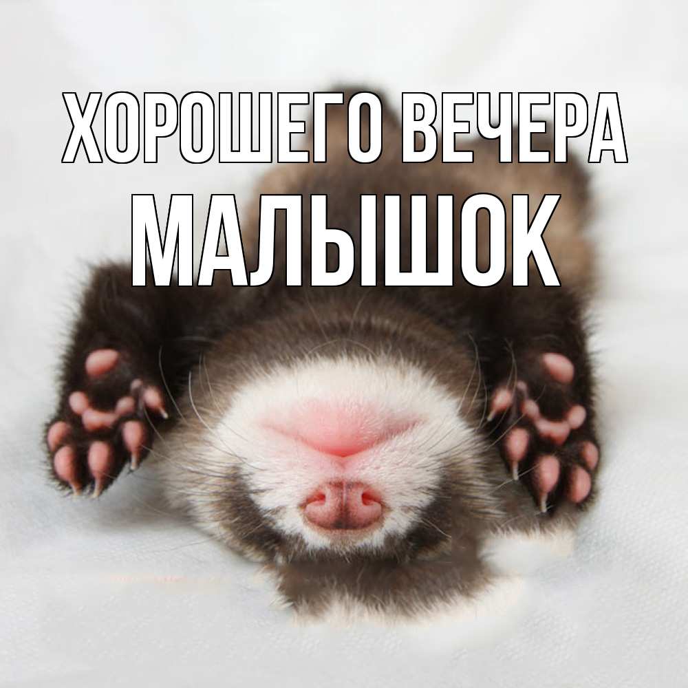 Открытка  для любимых и родных. малышок, Хорошего вечера  