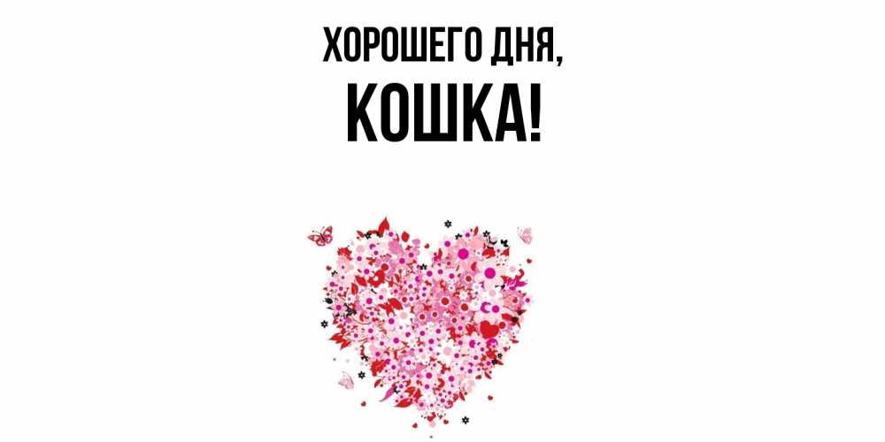 Картинка Хорошего дня, кошка