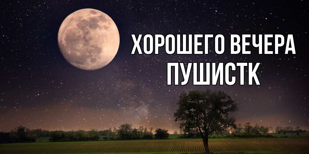 Открытка  для любимых и родных. пушистк, Хорошего вечера  