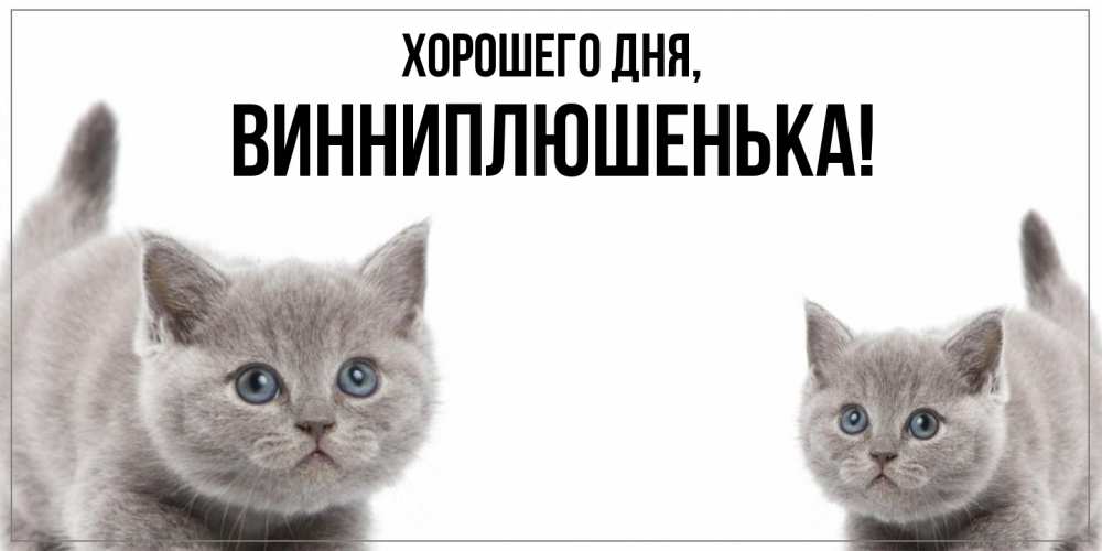 Картинка Хорошего дня, винниплюшенька