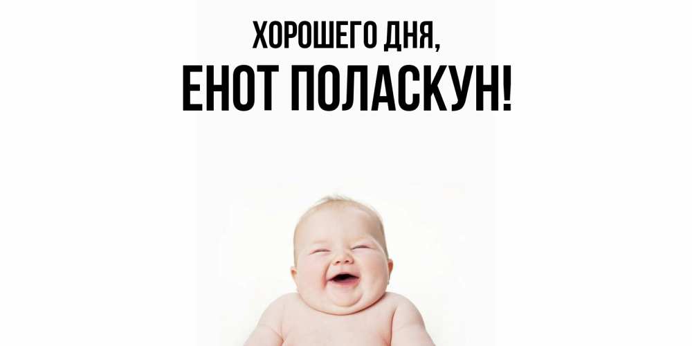 Открытка  для любимых и родных. енот, Хорошего дня  