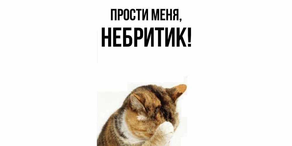 Открытка  для любимых и родных. небритик, Прости меня  