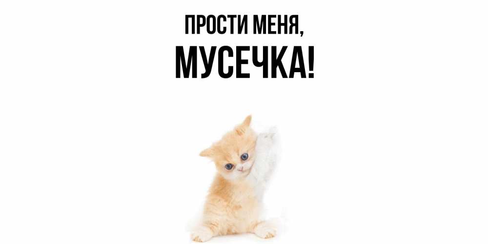 Открытка  для любимых и родных. мусечка, Прости меня  