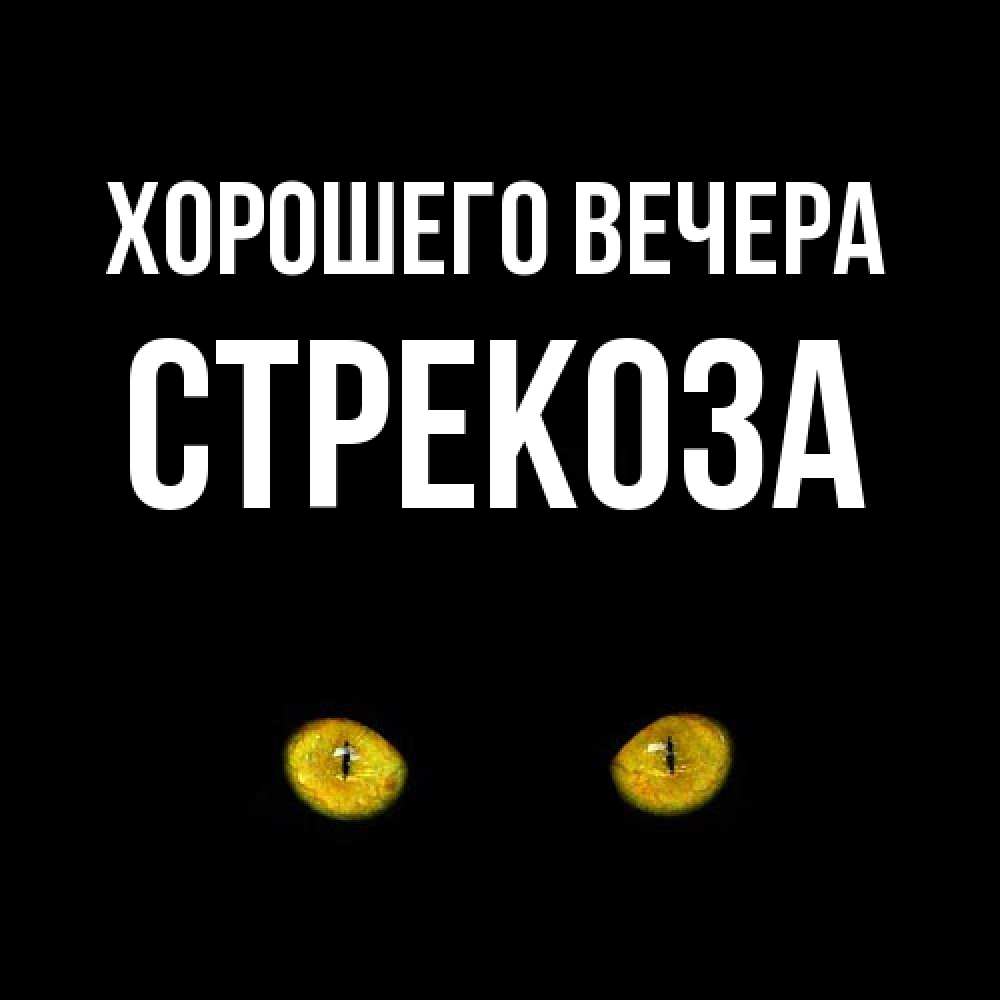 Открытка  для любимых и родных. стрекоза, Хорошего вечера  