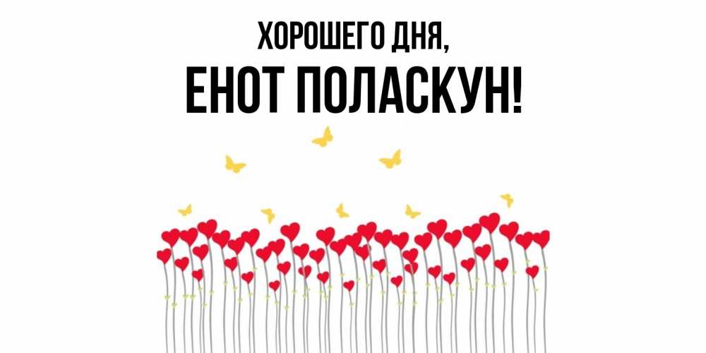 Открытка  для любимых и родных. енот, Хорошего дня  