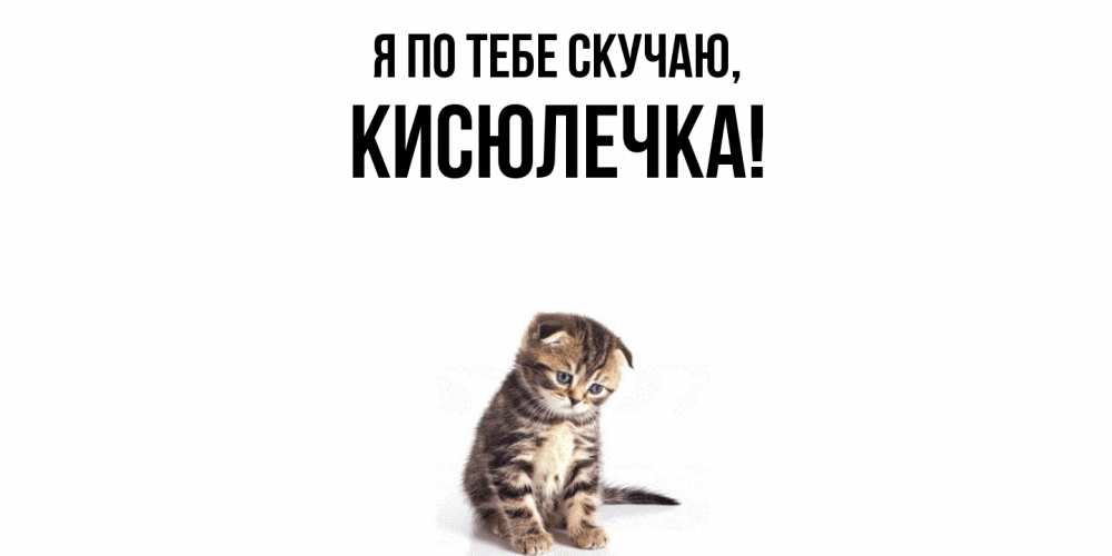 Картинка Я по тебе скучаю, кисюлечка