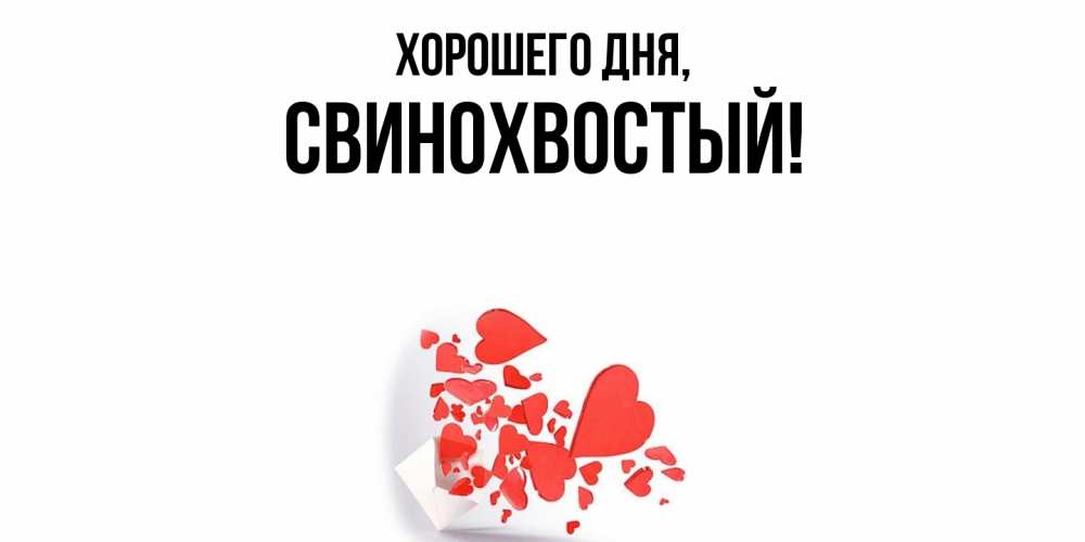 Открытка  для любимых и родных. свинохвостый, Хорошего дня  