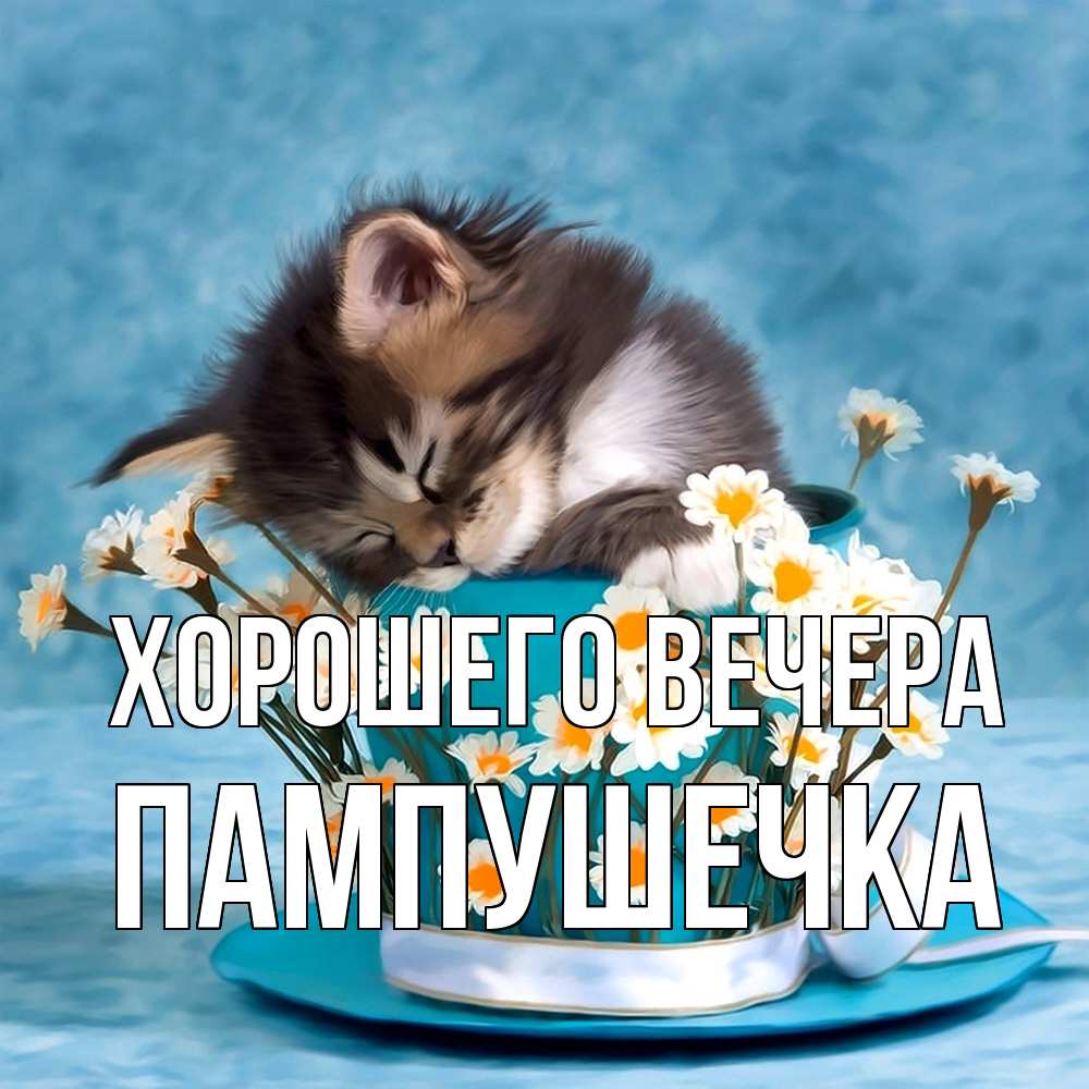 Картинка Хорошего вечера, пампушечка