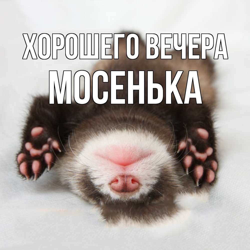 Открытка  для любимых и родных. мосенька, Хорошего вечера  