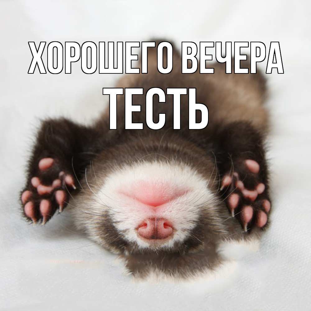 Открытка  для любимых и родных. Тесть, Хорошего вечера  