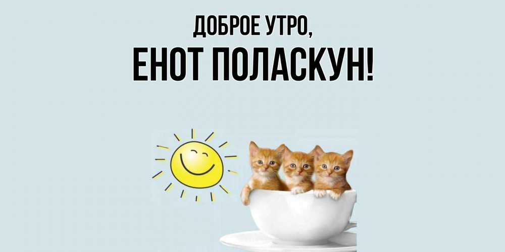 Открытка  для любимых и родных. енот, Доброе утро  